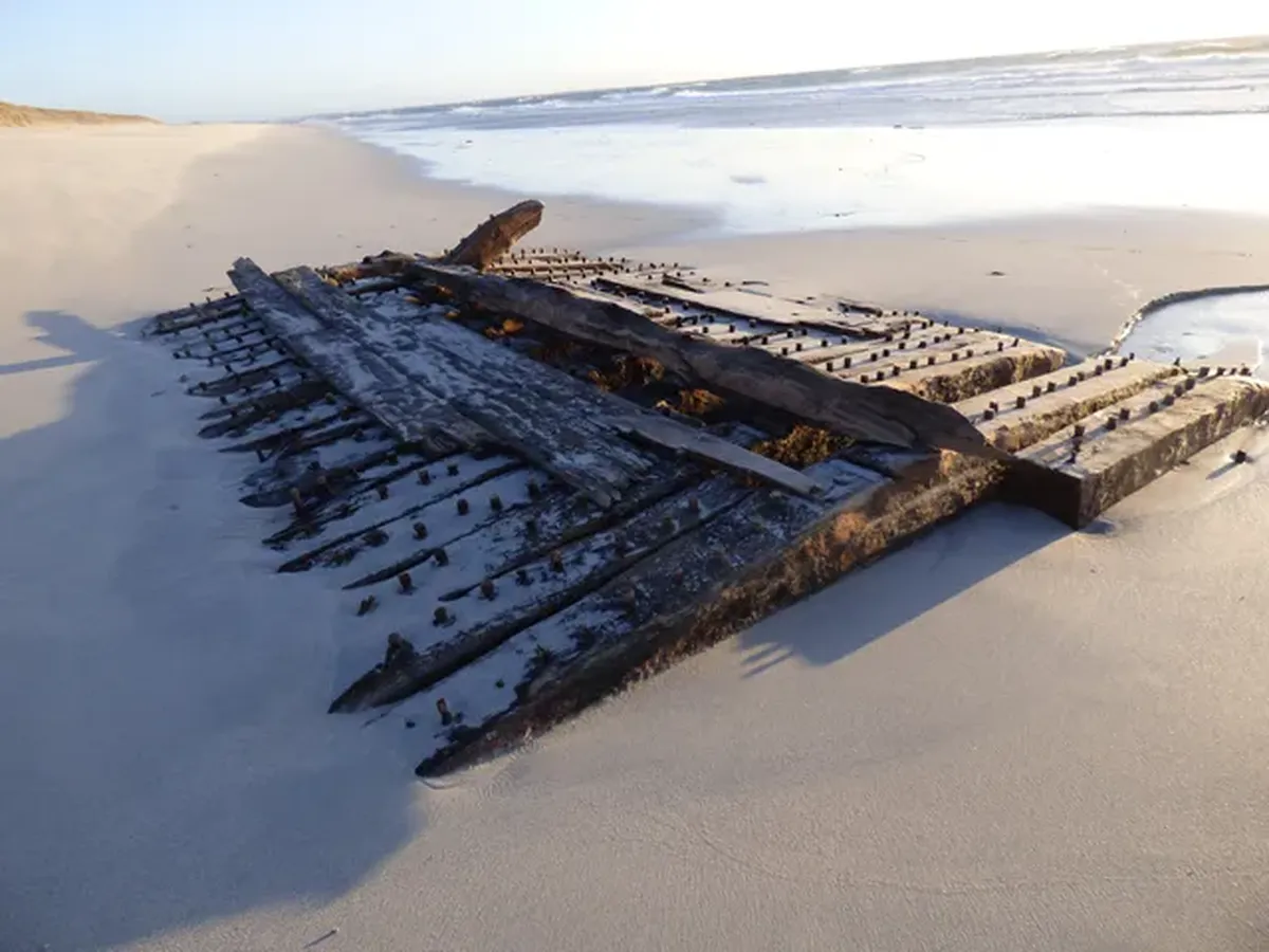 La madera permaneció enterrada en la playa durante décadas. La madera permaneció enterrada en la playa durante décadas.