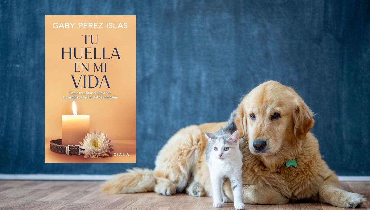 El libro nace de la necesidad de validar un dolor que la sociedad a menudo minimiza o no reconoce. El libro nace de la necesidad de validar un dolor que la sociedad a menudo minimiza o no reconoce. 