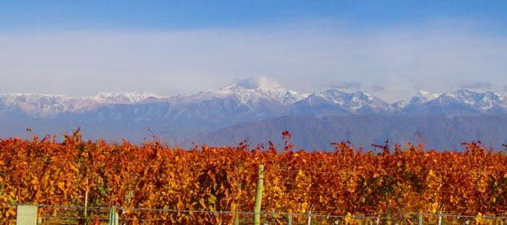 Septiembre en Luján será el mes del vino