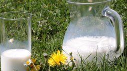 Alimentos que pueden aumentar el riesgo de parkinson