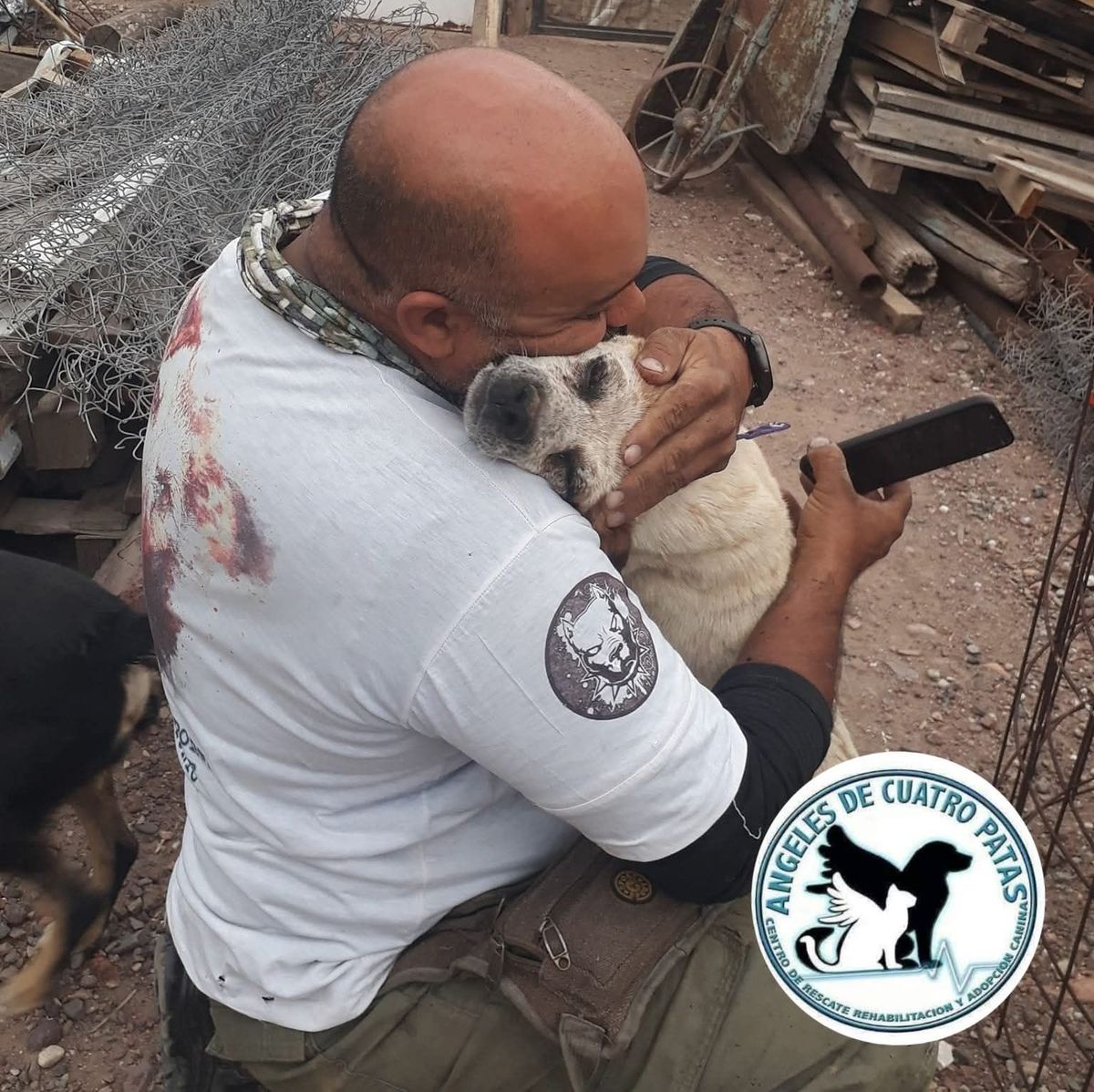 Los voluntarios del refugio trabajan de lunes a lunes para darles asistencia a todos los perros.