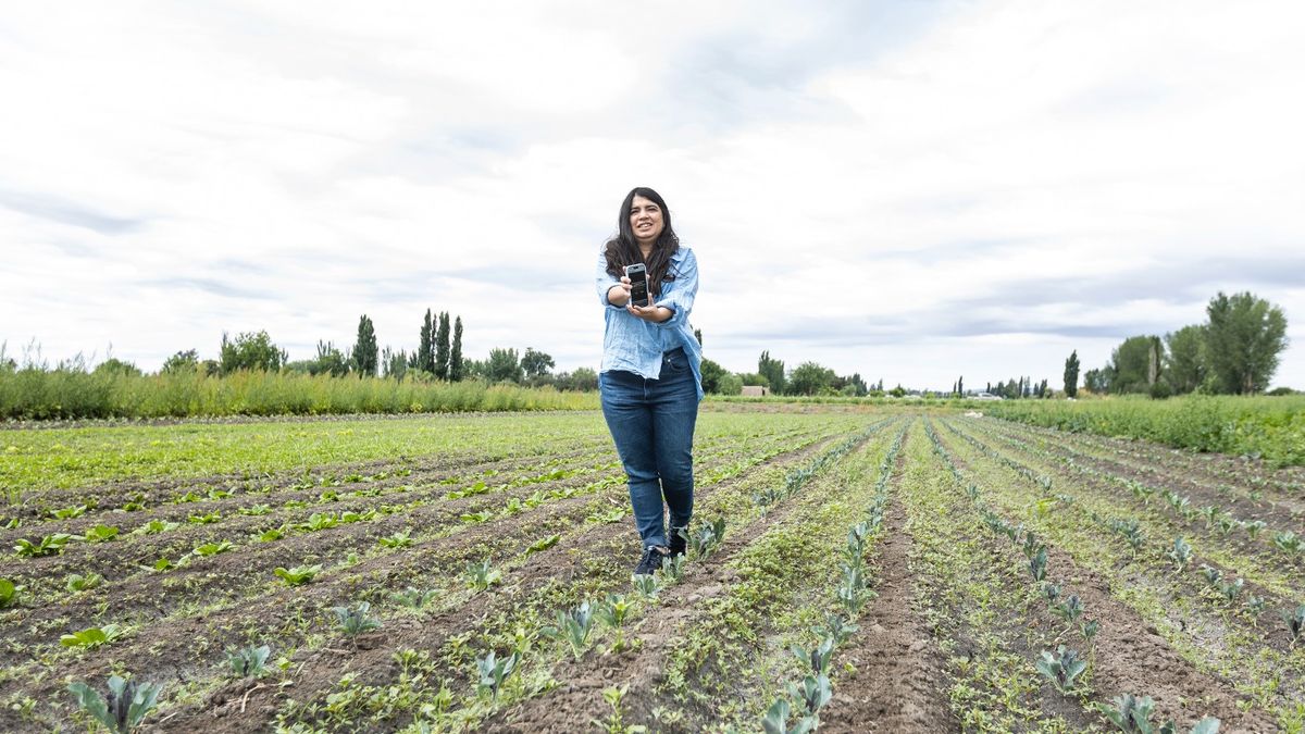 Fernanda Bonesso es hija de un productor agrícola, economista y fundadora de Agrojusto, startup mendocina que nació para conectar productores y consumidores y así registrar la trazabilidad de los alimentos desde su producción hasta el consumo. Fernanda Bonesso es hija de un productor agrícola, economista y fundadora de Agrojusto, startup mendocina que nació para conectar productores y consumidores y así registrar la trazabilidad de los alimentos desde su producción hasta el consumo.