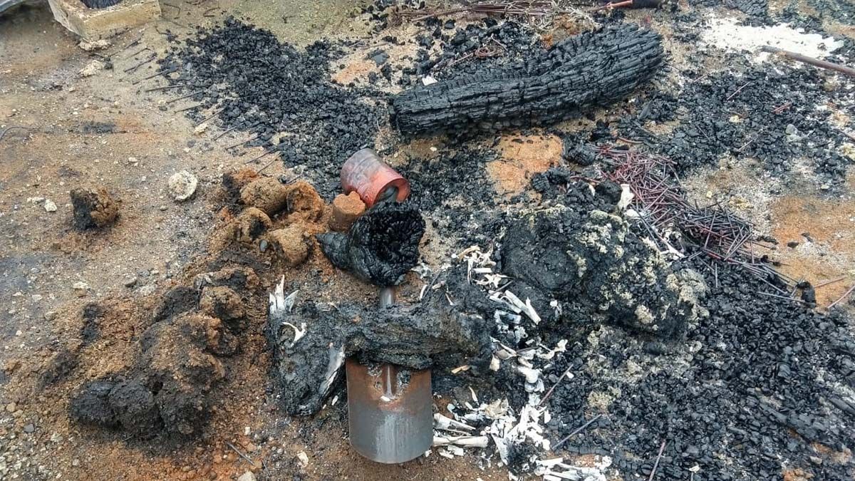 Tremenda imagen de uno de los animales muertos por el incendio.