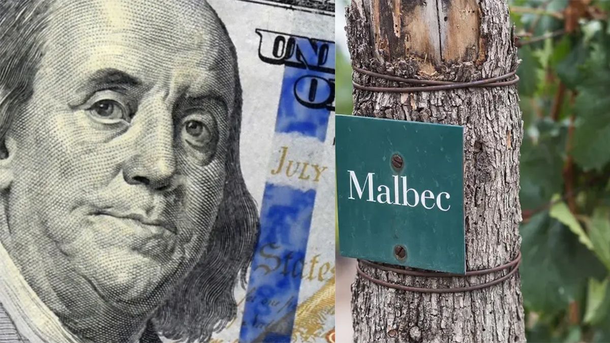 El dólar agro aportó más de U$S332 millones.