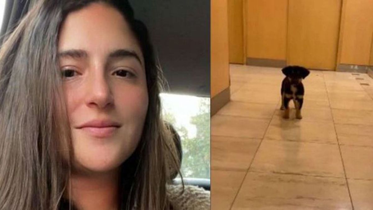 Una joven le robó el perro a un hombre en situación de calle y pidió plata en las redes para costear los gastos.