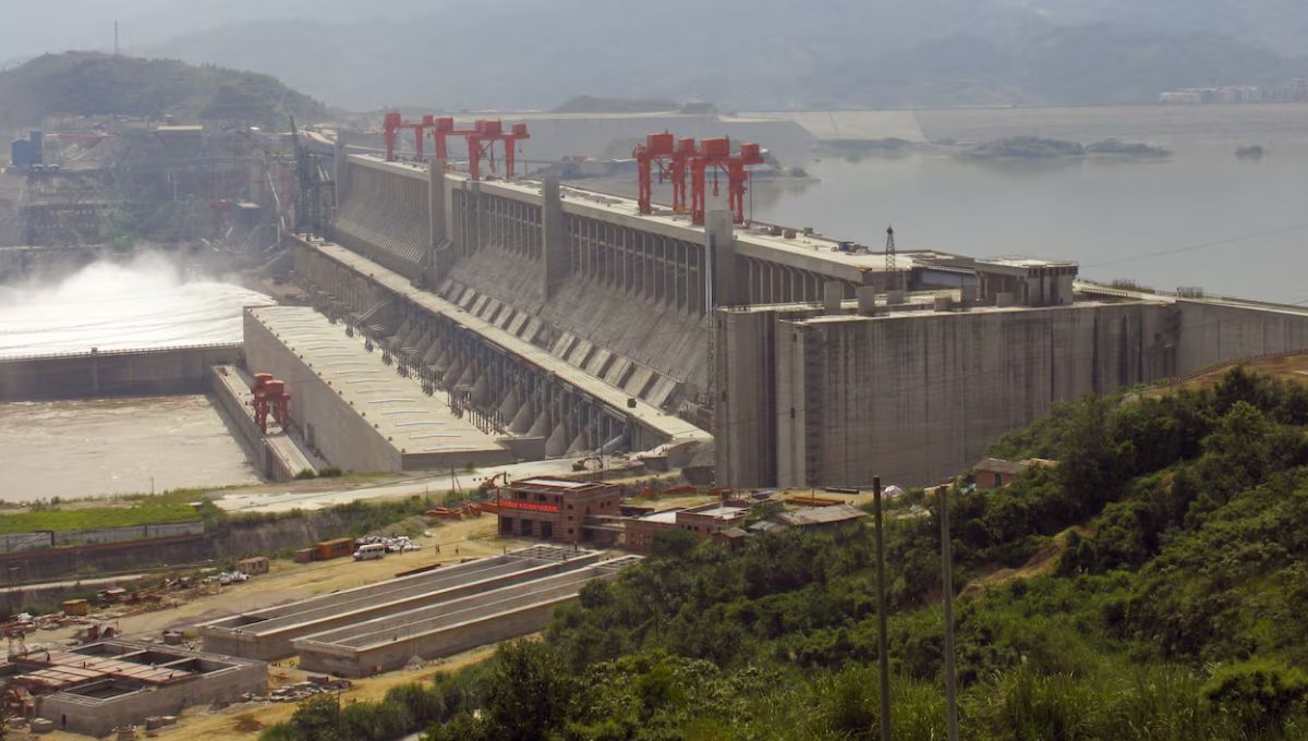 La represa Tres Gargantas ha alterado la biodiversidad del río y la calidad del agua La represa Tres Gargantas ha alterado la biodiversidad del río y la calidad del agua