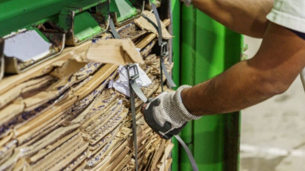 Foto: Gentileza Foto: Gentileza