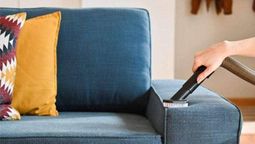 Los 5 trucos de limpieza infalibles para eliminar los ácaros del hogar.