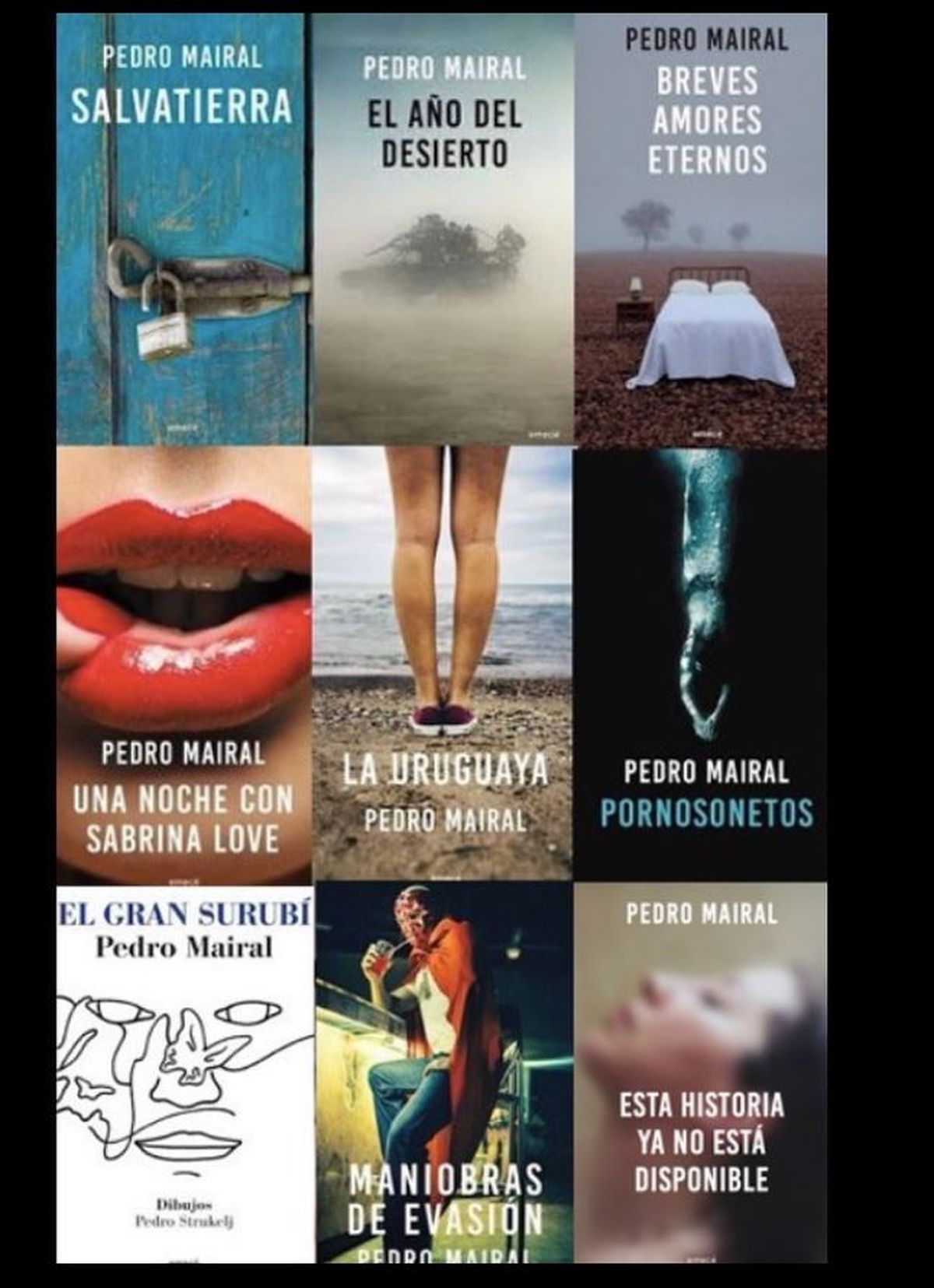 Obras de Pedro Mairal.