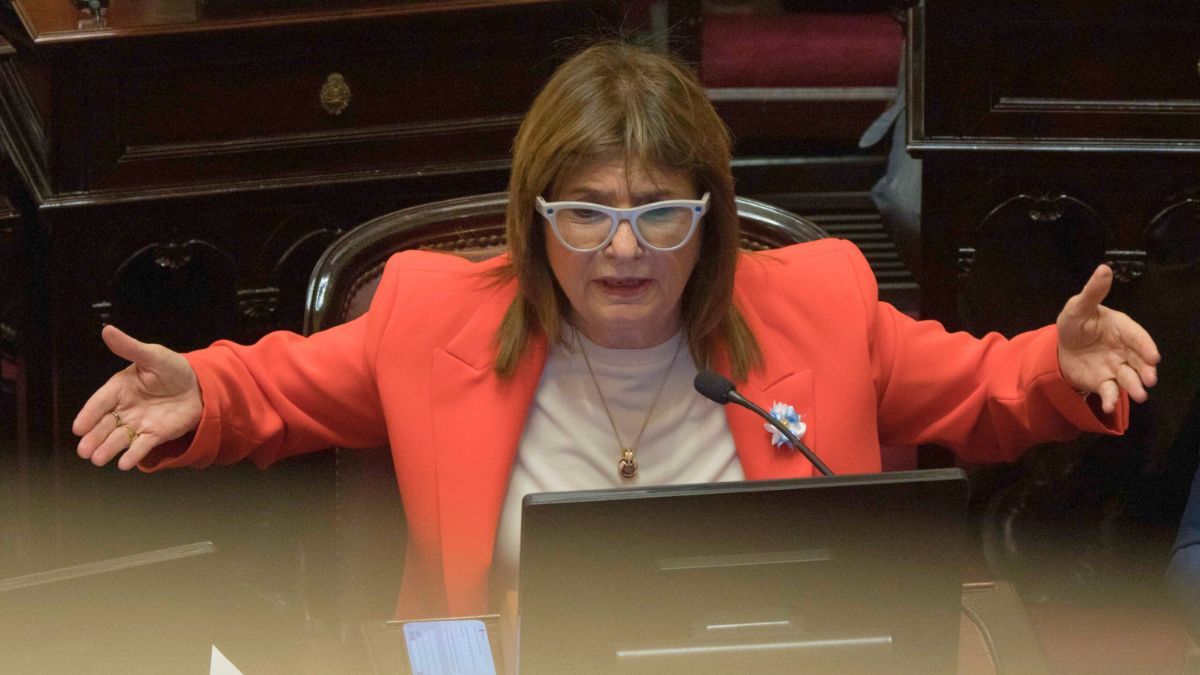 La senadora Patricia Bullrich durante el debate de la reforma laboral.