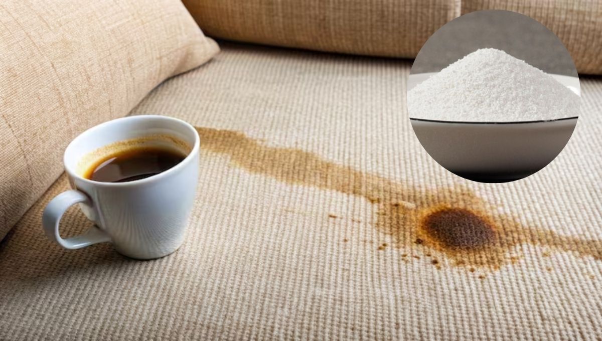 Cómo eliminar las manchas difíciles del sillón usando percarbonato de sodio: método de limpieza efectivo