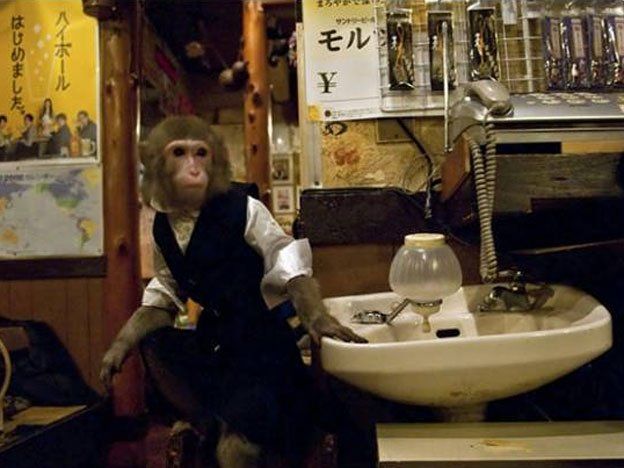 Abrieron un restaurante en Japón atendido por monos