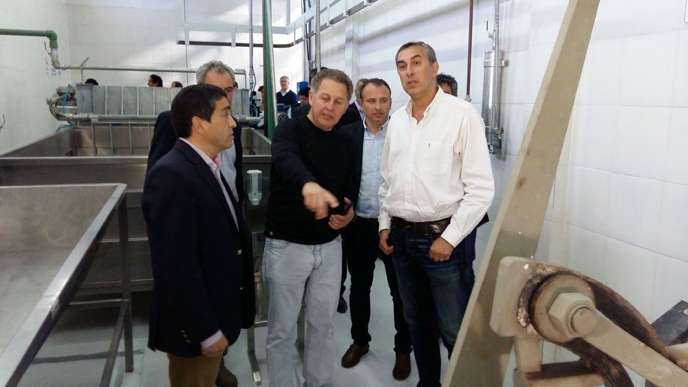 Vaquié lamentó que la Nación descartara los proyectos de energías renovables locales