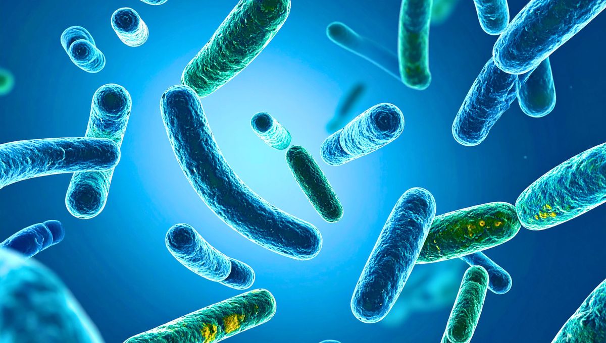 El cepillo está expuesto a gérmenes de todo tipo, bacterias, virus y hongos del baño. El cepillo está expuesto a gérmenes de todo tipo, bacterias, virus y hongos del baño. 