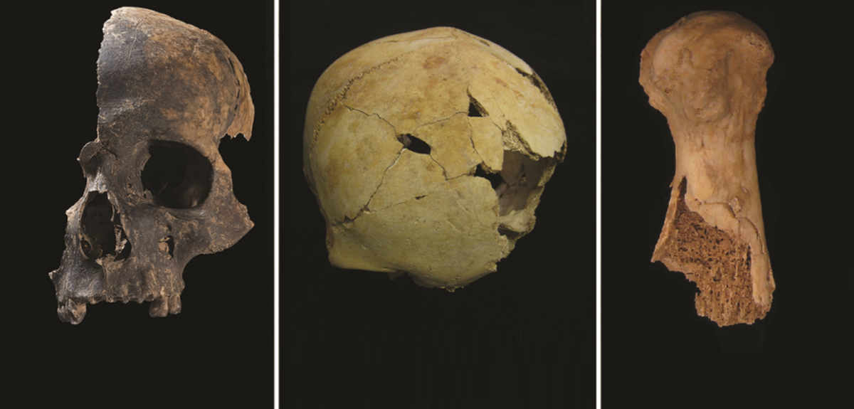 El estudio llevó a un descubrimiento inesperado. El estudio llevó a un descubrimiento inesperado.