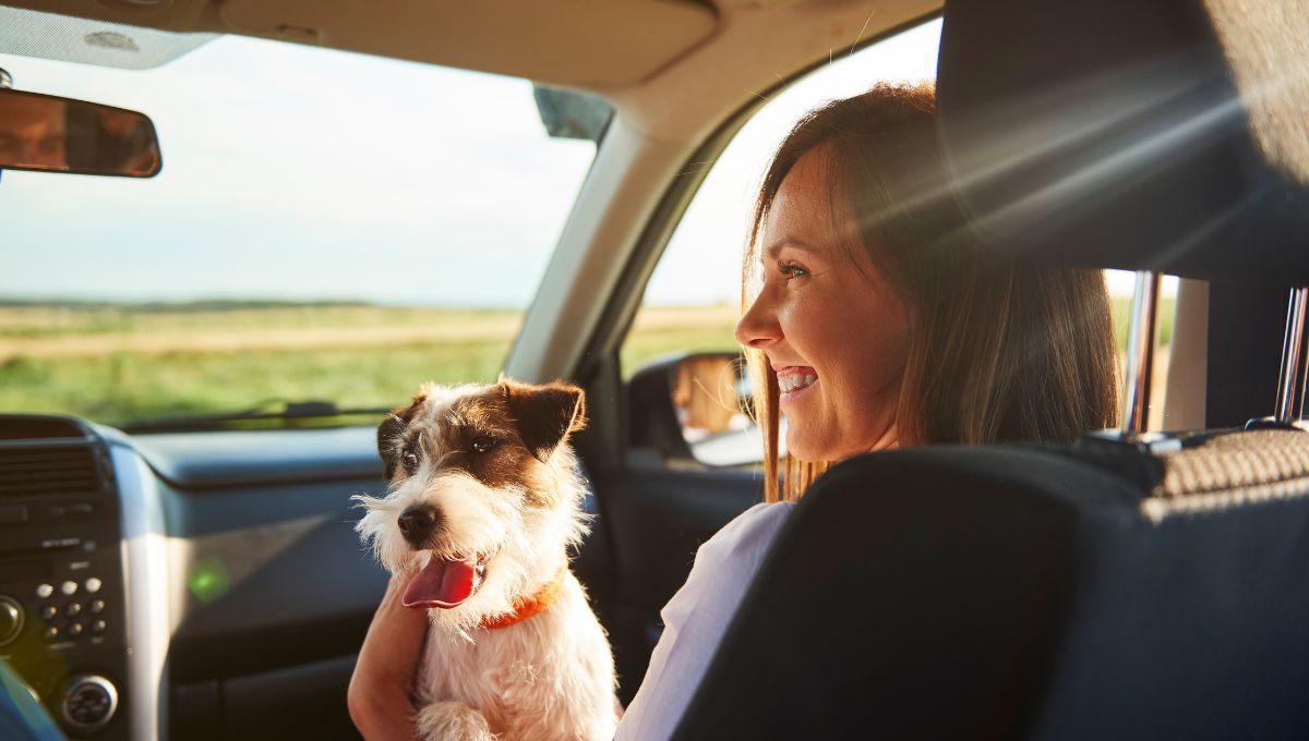 ¿Cuáles son los requisitos para ingresar mascotas a Chile?