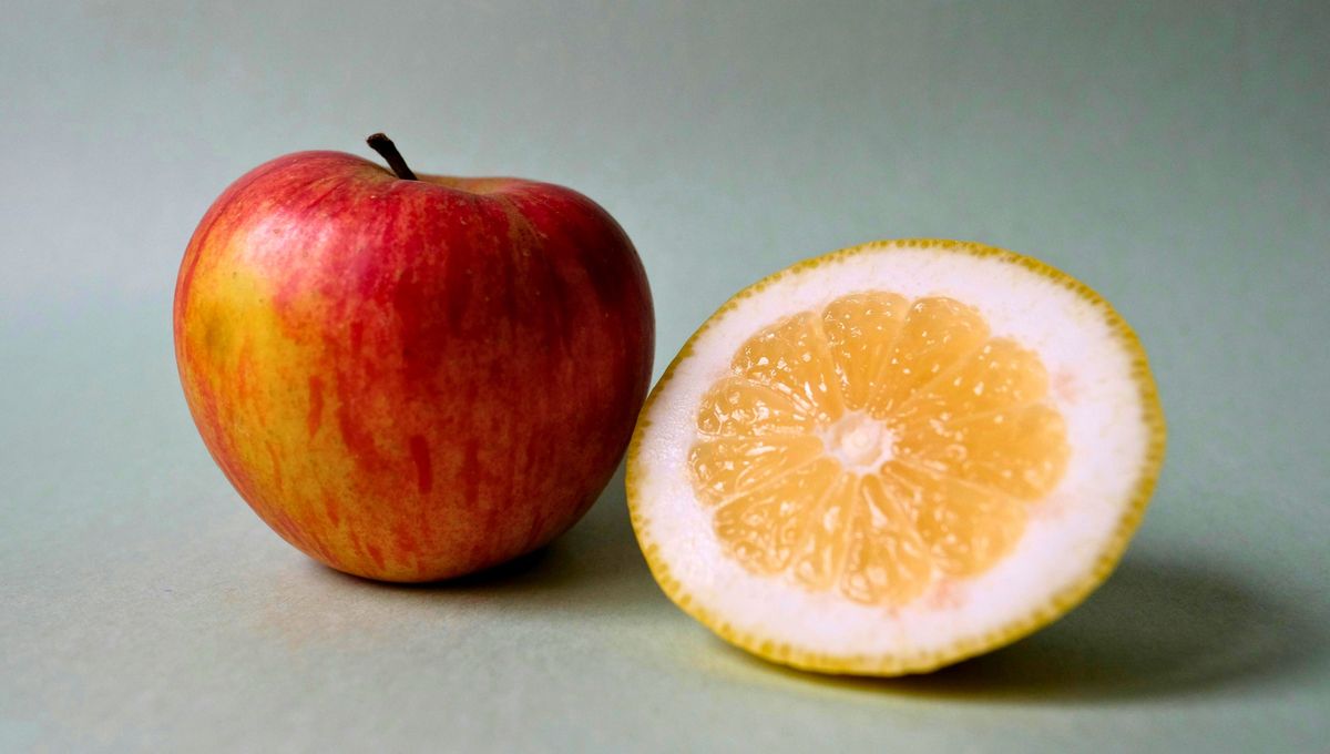 Con unas gotas de jugo de limón puedes mantener las manzanas en perfecto estado. Con unas gotas de jugo de limón puedes mantener las manzanas en perfecto estado. 