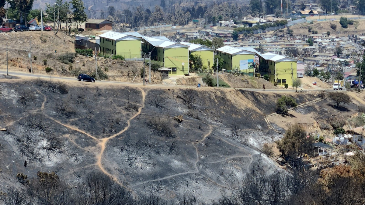 Más de 6.000 viviendas quedaron destruidas informó el Servicio Nacional de Prevención y Respuesta ante Desastres (Senapred), sin embargo, otras fuentes indican son aproximadamente 15.000 los hogares quemados. Más de 6.000 viviendas quedaron destruidas informó el Servicio Nacional de Prevención y Respuesta ante Desastres (Senapred), sin embargo, otras fuentes indican son aproximadamente 15.000 los hogares quemados.