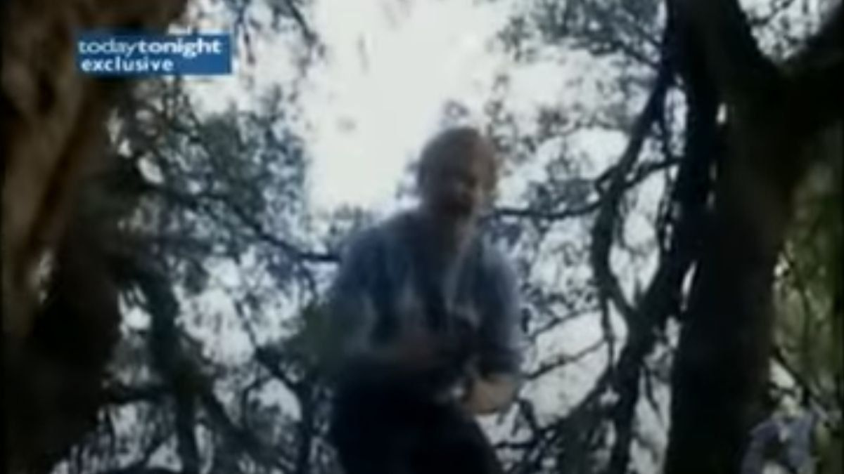 Los jóvenes australianos que filmaron el vandalismo. Los jóvenes australianos que filmaron el vandalismo.