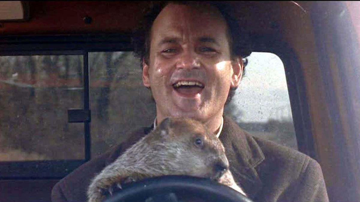 Día de la Marmota: ¿cuál es el origen de esta celebración?