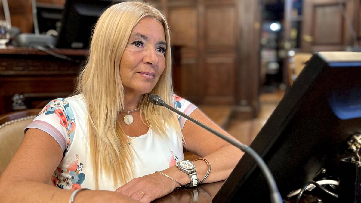 La legisladora del PRO, Laura Balsells Miró. La legisladora del PRO, Laura Balsells Miró.