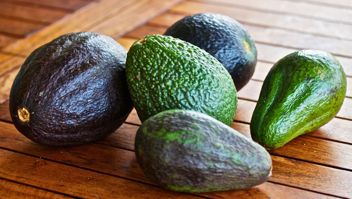 ¿Cuántos tipos de palta existen?