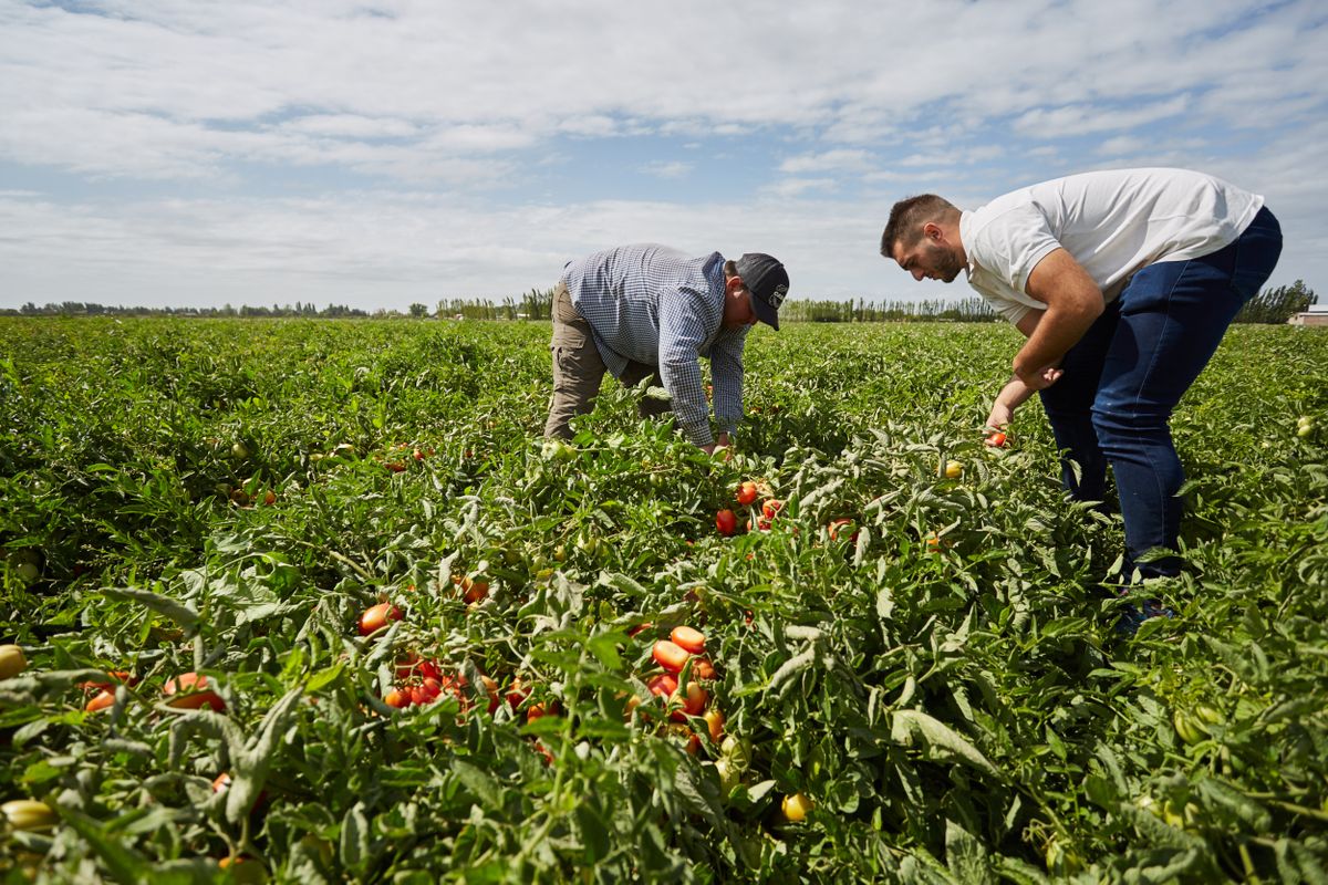 Irrigaci&oacute;n propone fortalecer conocimientos t&eacute;cnicos en agricultores y agricultoras sobre el contexto h&iacute;drico de Mendoza, promoviendo pr&aacute;cticas de riego eficientes y sostenibles.