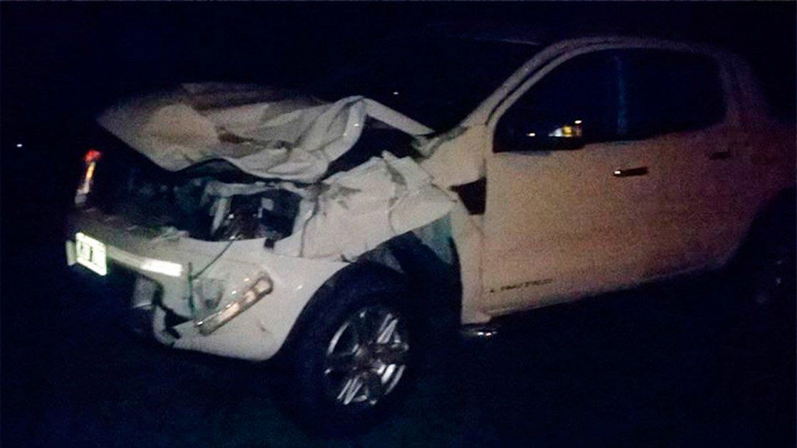 Un caballo suelto casi provoca una tragedia en una ruta