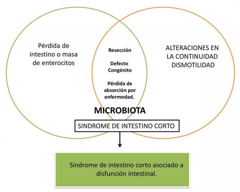 ANMAT aprobó el uso de una nueva droga para el tratamiento de pacientes a partir del año de edad con síndrome de intestino corto y falla intestinal.