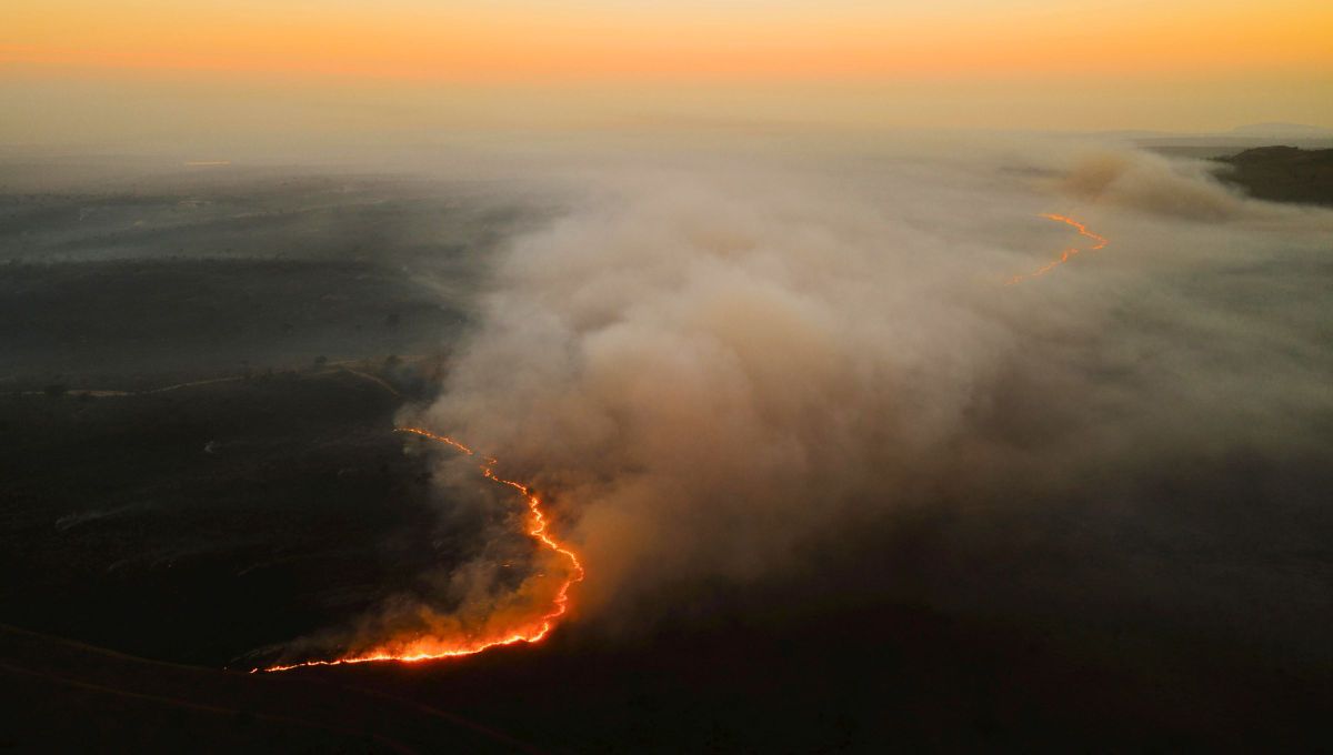 Se cree que el fuego se descubri&oacute; por primera vez cuando un volc&aacute;n entr&oacute; en erupci&oacute;n, provocando incendios y la aparici&oacute;n del fuego por primera vez.