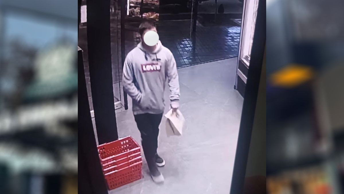 El delincuente que asaltó a la empleada de la carnicería La Embajada