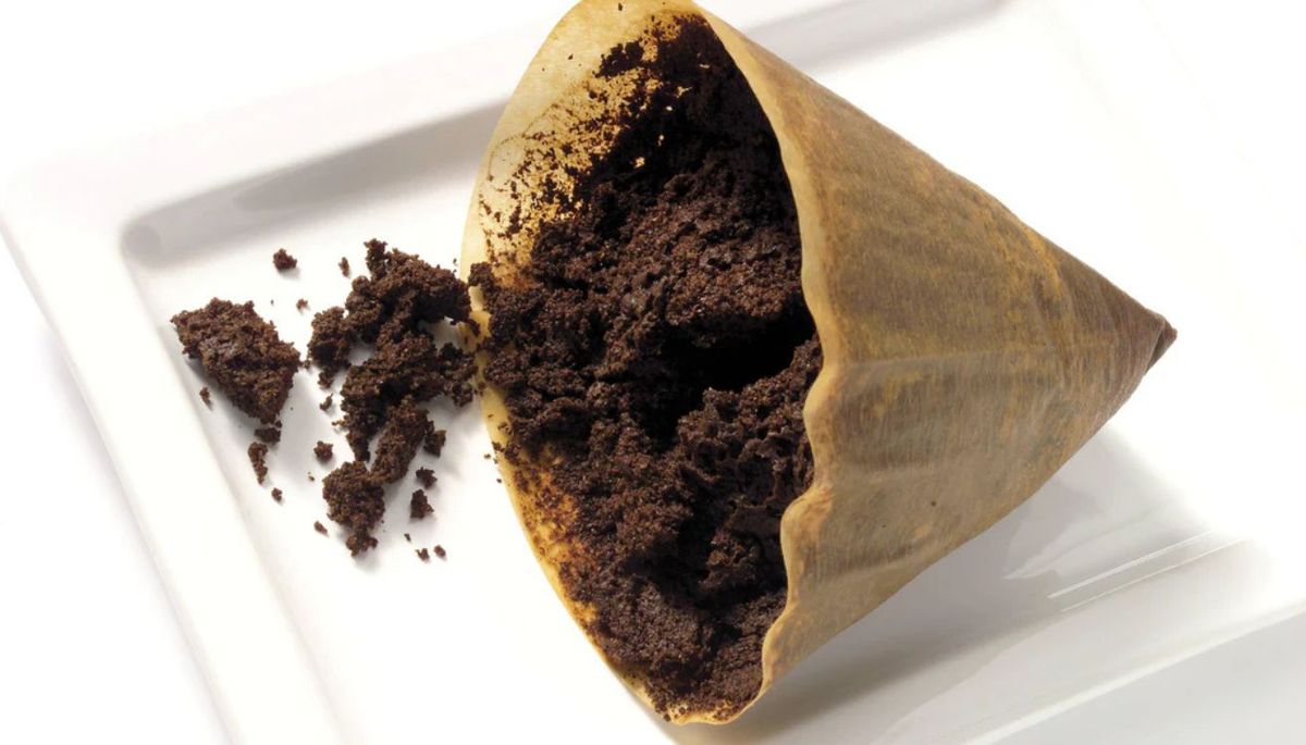 Reutiliza los restos de café. Imagen: Freepik