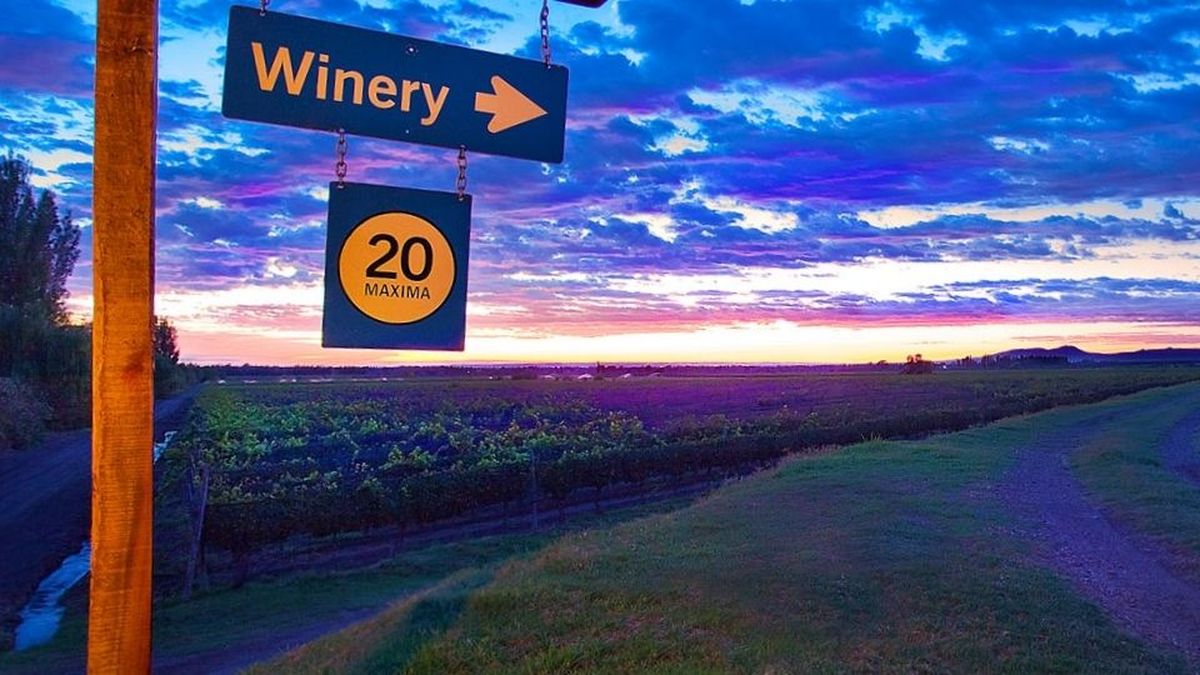Winery, o bodega para los argentinos. Casi el 10% de las tierras rurales de Mendoza están en manos de extranjeros.