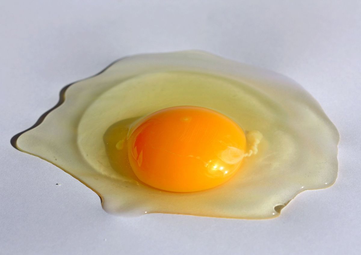 Cómo preparar y consumir mayonsea casera de forma segura