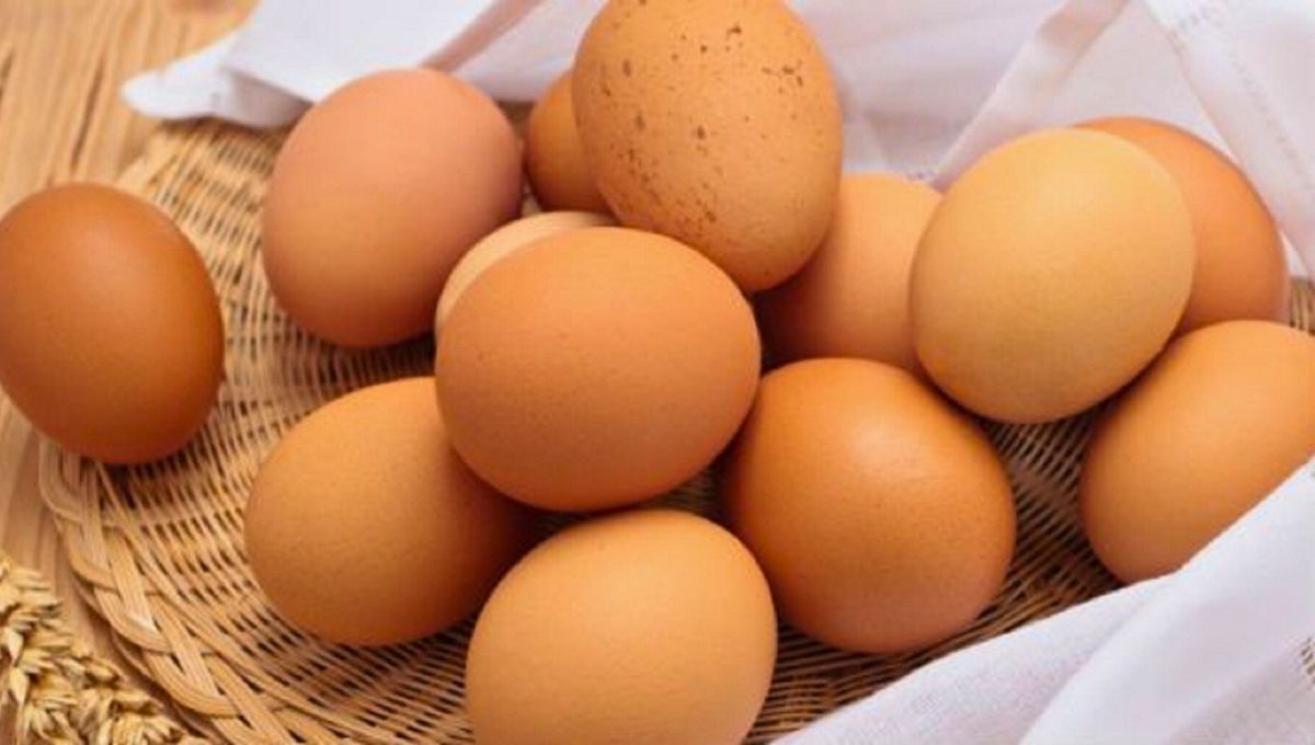 Los huevos son ricos, nutritivos y versátiles Los huevos son ricos, nutritivos y versátiles