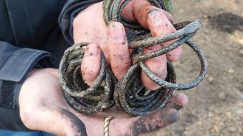 Descubrimiento de un tesoro paraliza a Ucrania: lo componen artefactos invaluables Descubrimiento de un tesoro paraliza a Ucrania: lo componen artefactos invaluables