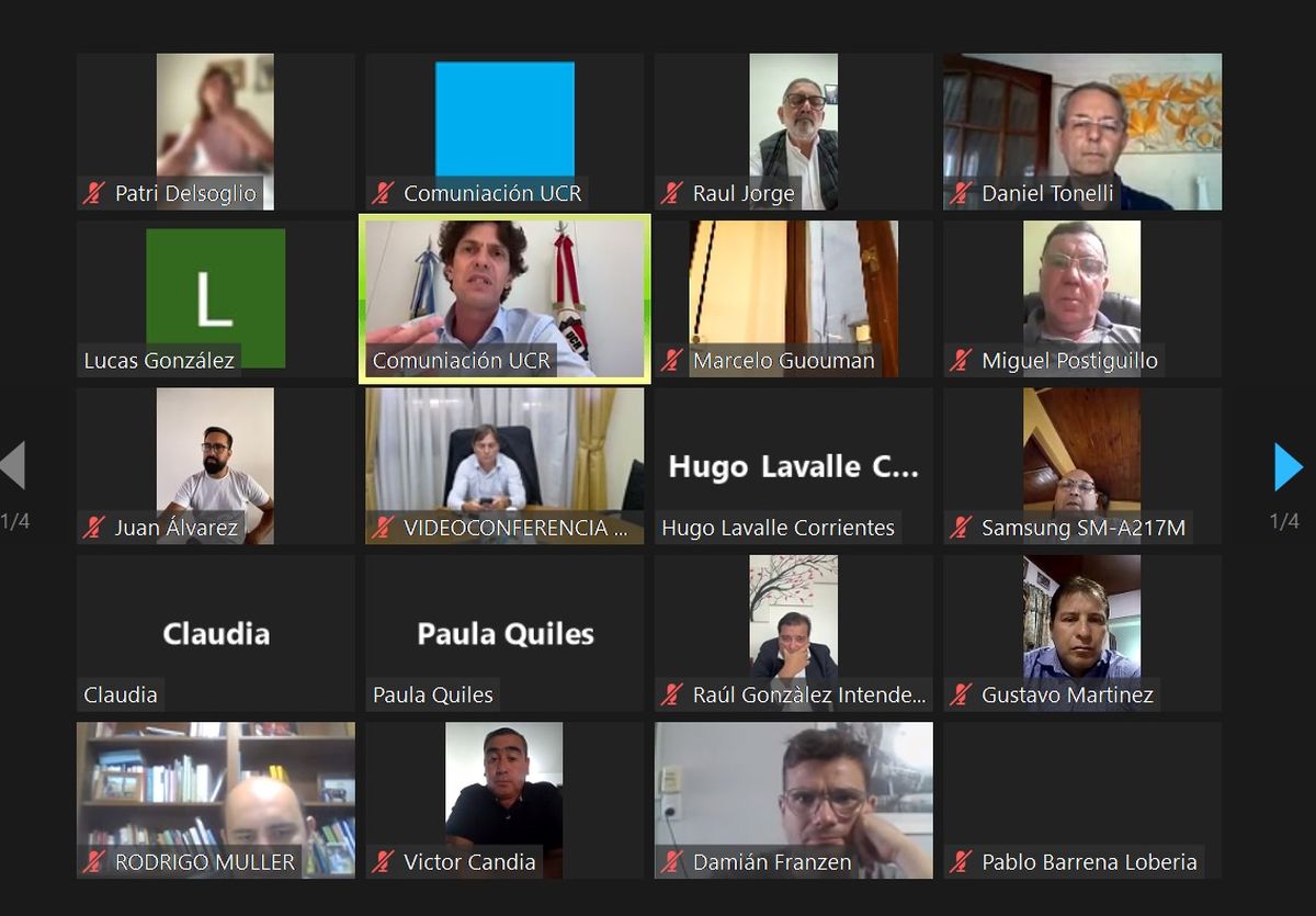 Parte de los intendentes que se reuniero con Lousteau por videconferencia. Parte de los intendentes que se reuniero con Lousteau por videconferencia.