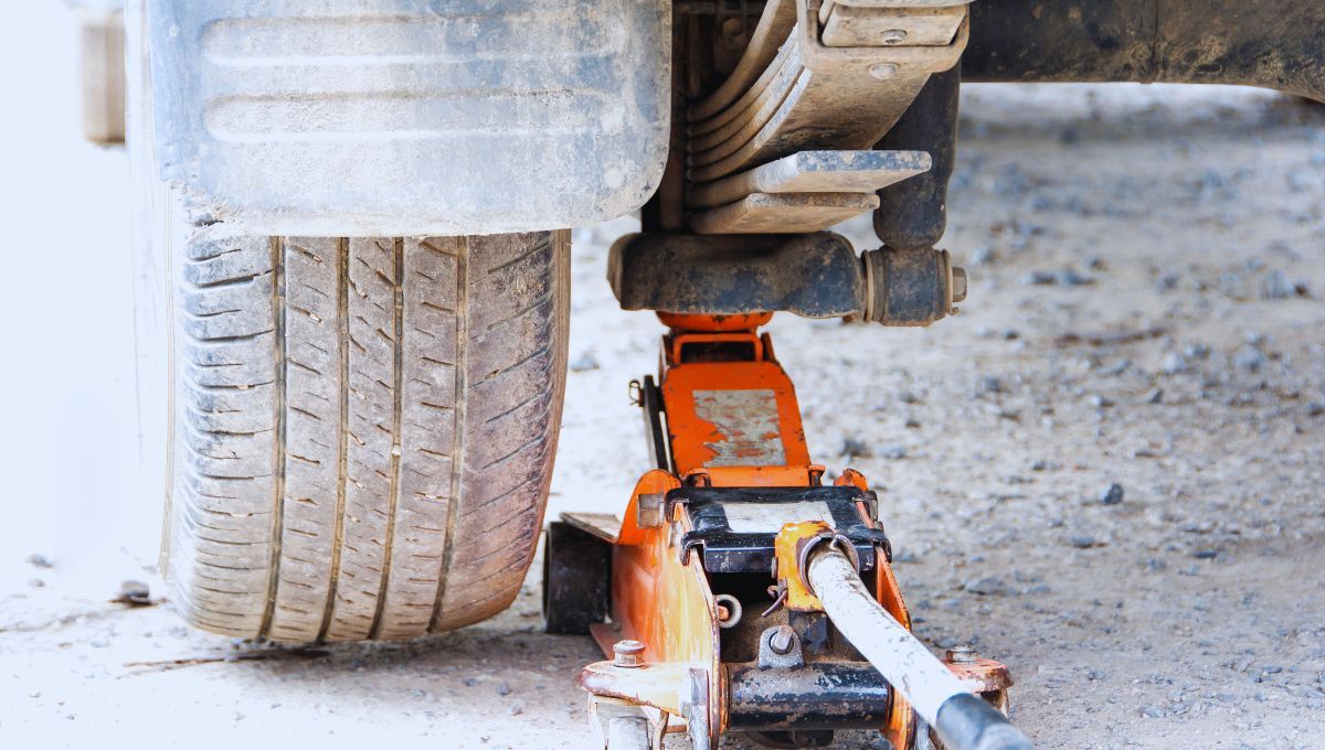 Fuente canva Fuente canva