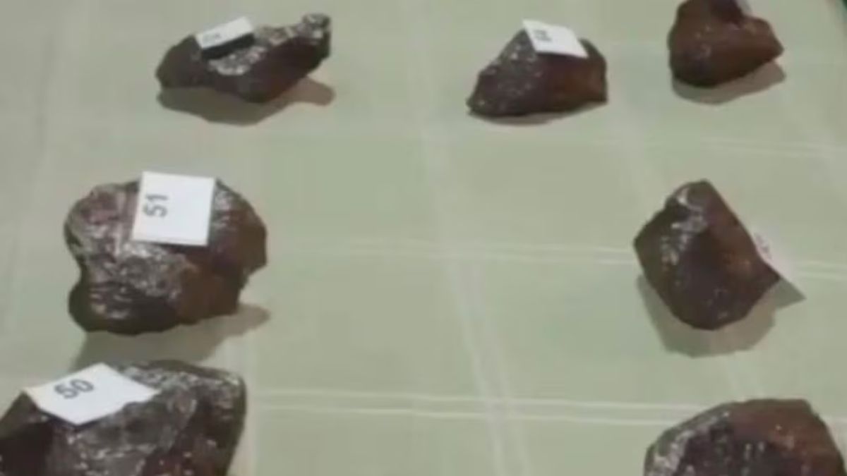 Parte del material secuestrado por personal de Gendarmería nacional. Parte del material secuestrado por personal de Gendarmería nacional.