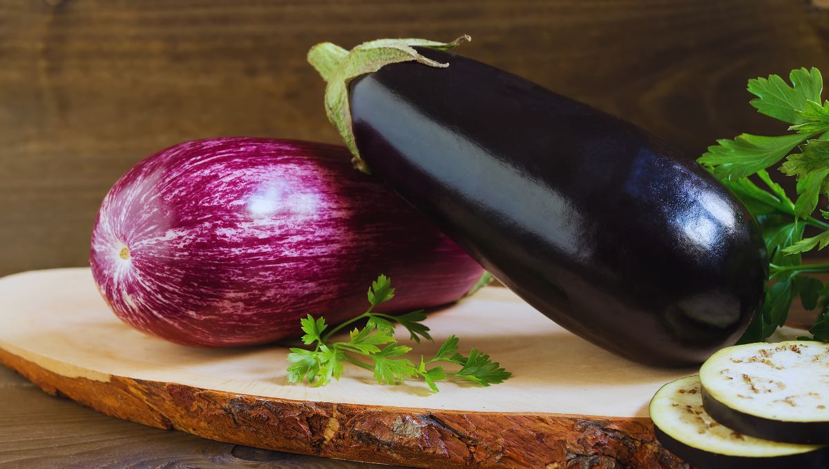 FUENTE CANVA FUENTE CANVA