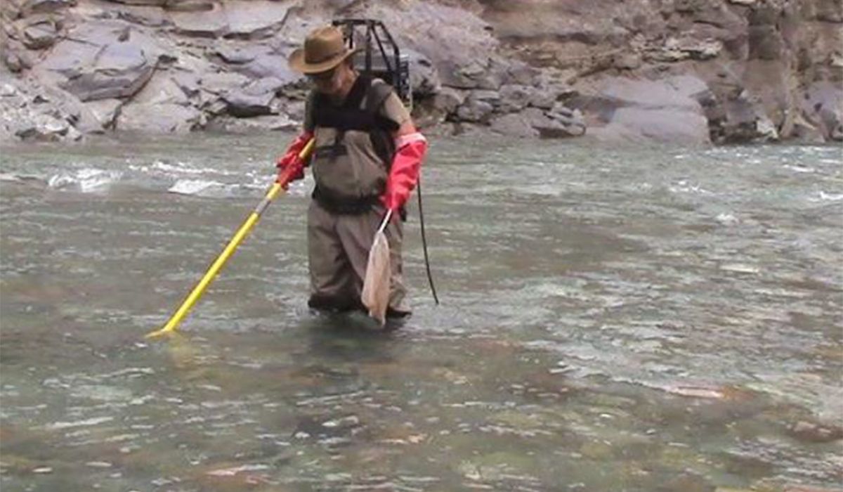 Uno de los proyectos con los que Cornejo pretende incrementar la producción de energía es el dique El Baqueano, aunque aseguró que para esa obra prevé una gran participación privada, de manera de que el Estado no deba financiar toda la obra. Uno de los proyectos con los que Cornejo pretende incrementar la producción de energía es el dique El Baqueano, aunque aseguró que para esa obra prevé una gran participación privada, de manera de que el Estado no deba financiar toda la obra.