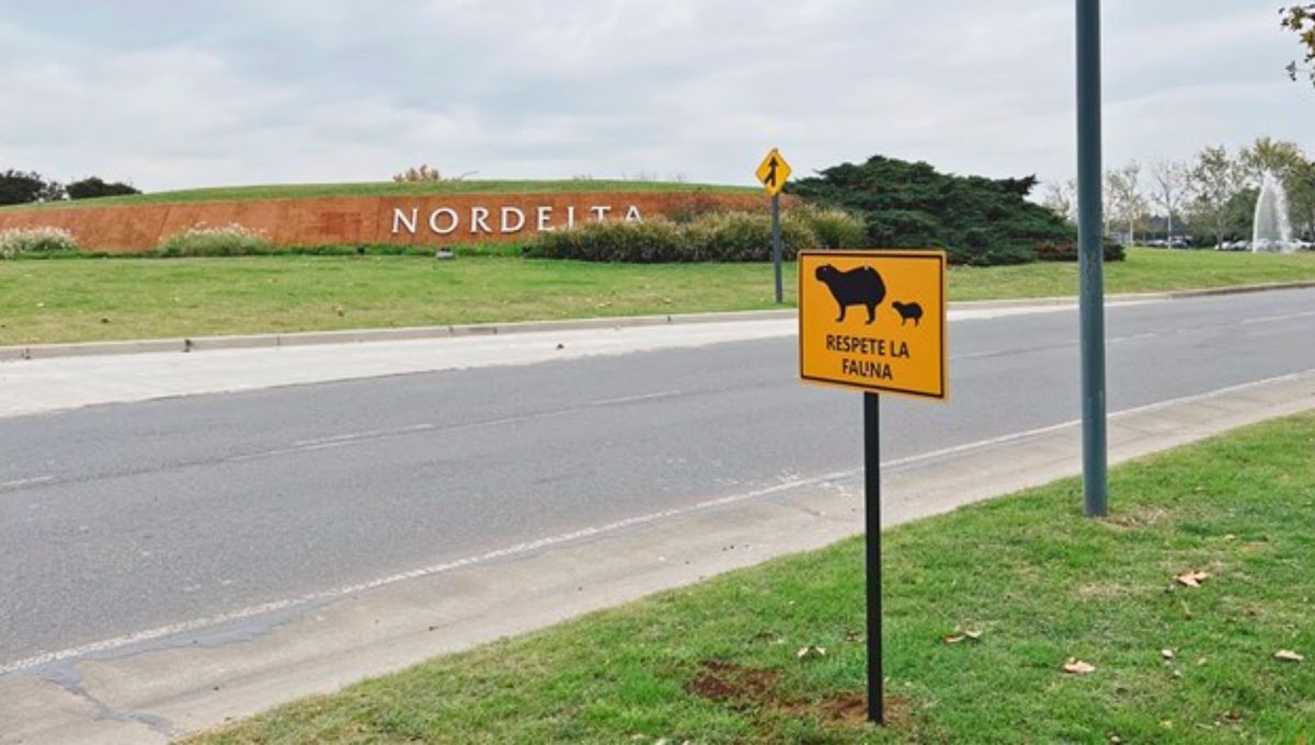 Nordelta es un núcleo urbano que tiene todos los servicios necesarios para funcionar como tal, albergando barrios y miles de personas. Fuente AVN Nordelta es un núcleo urbano que tiene todos los servicios necesarios para funcionar como tal, albergando barrios y miles de personas. Fuente AVN