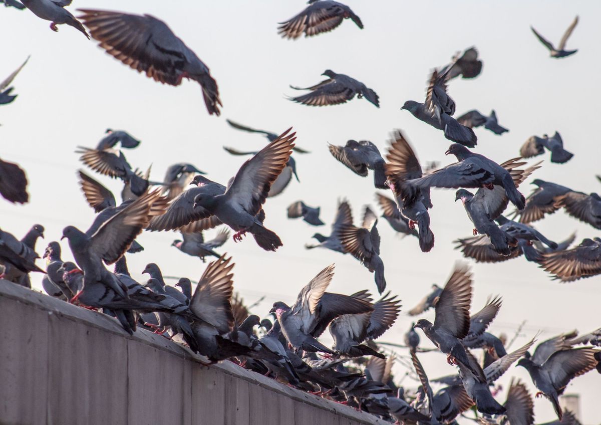 La CIA fue esencial para que Estados Unidos influyera en el resto del mundo La CIA fue esencial para que Estados Unidos influyera en el resto del mundo