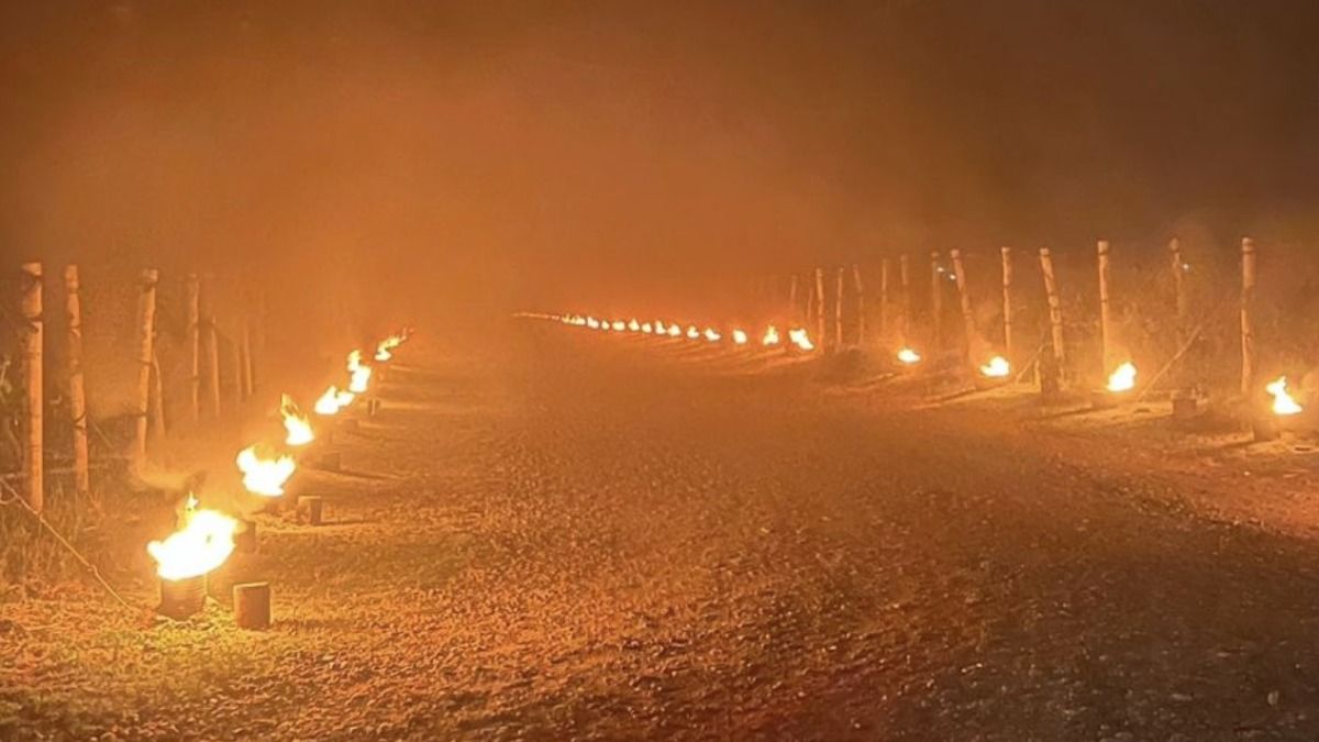 Los productores vitivinícolas vivieron recientemente madrugadas de gran inquietud por las bajas temperaturas, y buscaron paliar su efecto de diversas maneras.