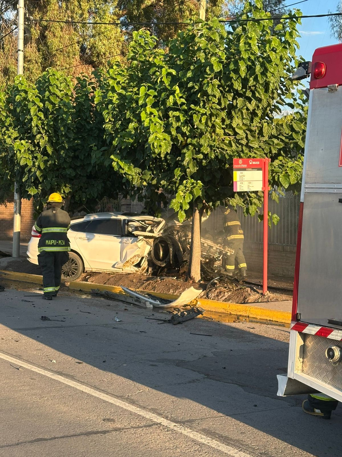El vehículo se incendió luego de impactar contra el árbol. El vehículo se incendió luego de impactar contra el árbol.