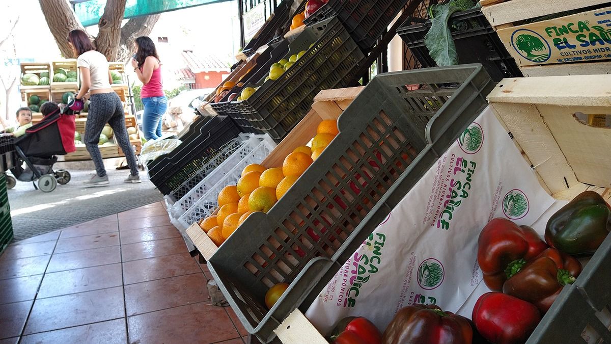 Desde el Mercado Cooperativo del Este, recomendaron consumir frutas de estación, sobre todo cítricos