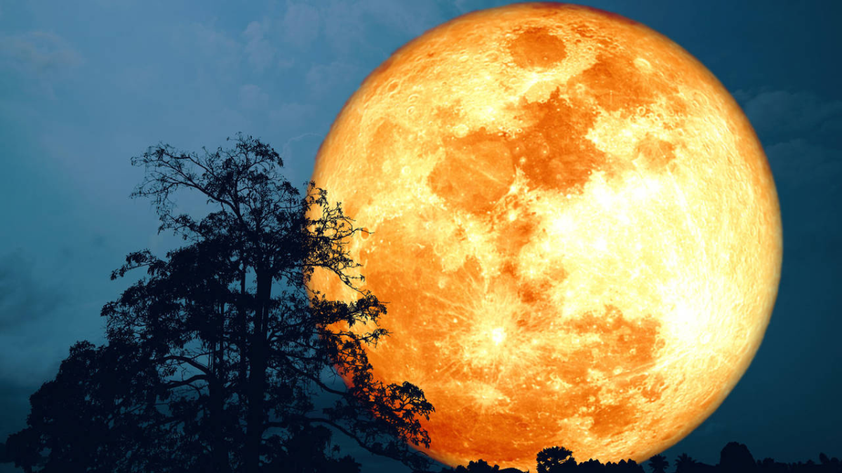 La Luna de Ciervo es un fenómeno astronómico que permite apreciar a la luna llena en su fase de mayor plenitud. La Luna de Ciervo es un fenómeno astronómico que permite apreciar a la luna llena en su fase de mayor plenitud.