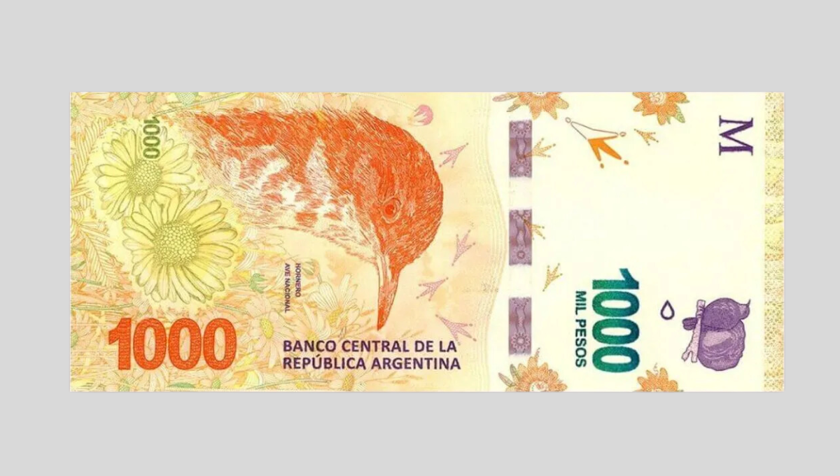 Monedas y billetes