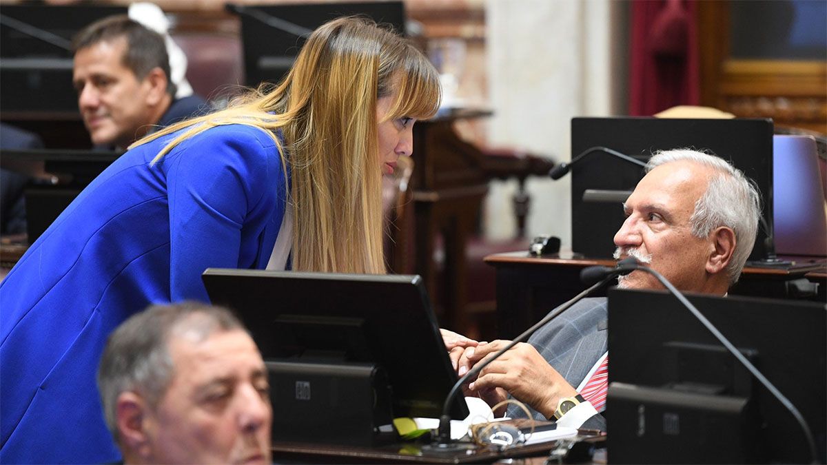 Anabel Fernández Sagasti saltó con los tapones de punta contra la privatización de Aerolíneas Argentinas y prometió dar batalla en el Senado.
