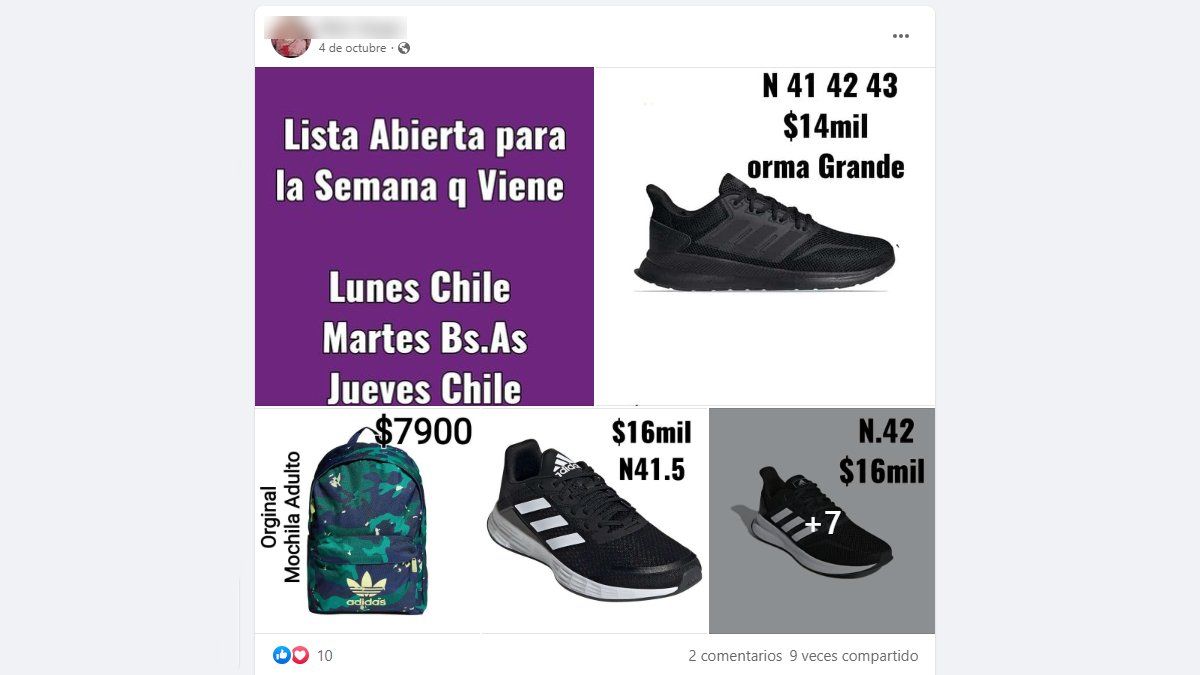 Las publicaciones que hacía en Facebook la organizadora del tour de compras.